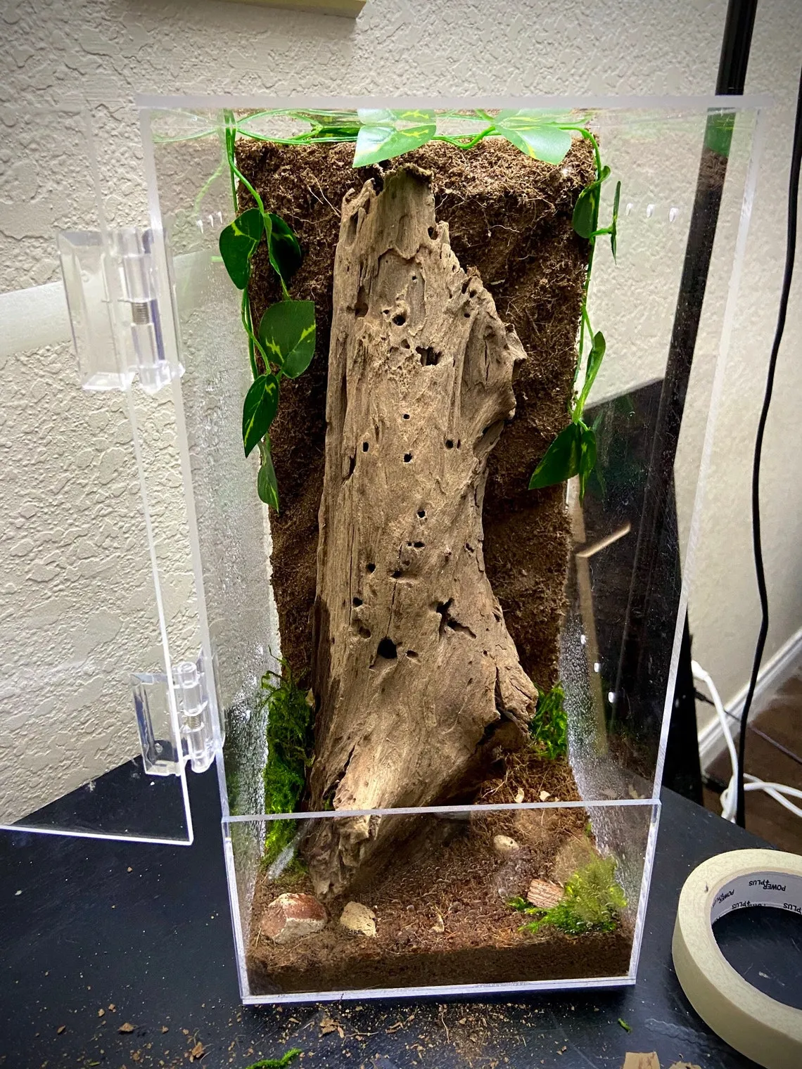 18747 Irminia tarantula enclosure decor