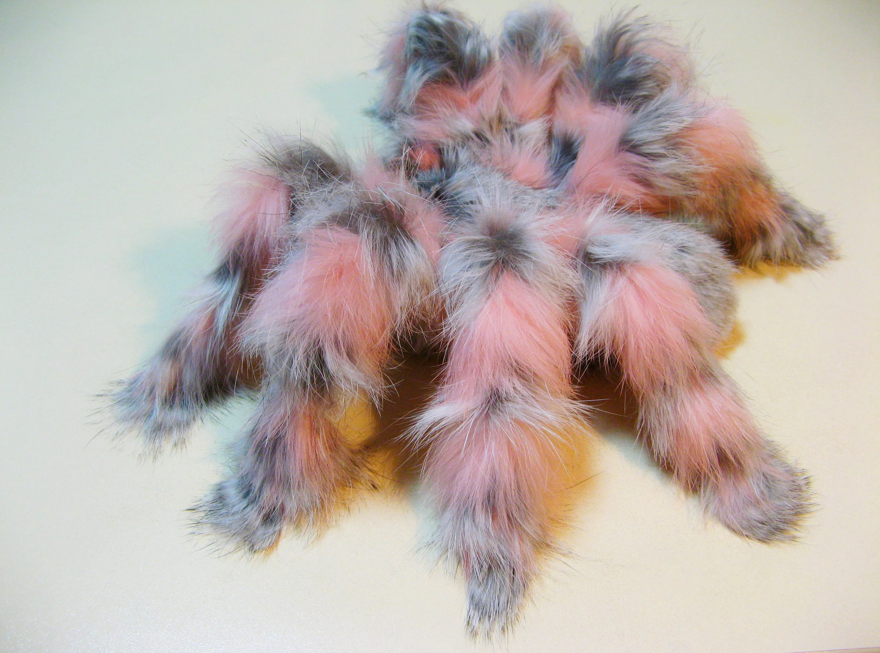 18759 pink tarantula overview