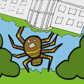 /img/18769-youtube-tarantula-song-analytics.webp