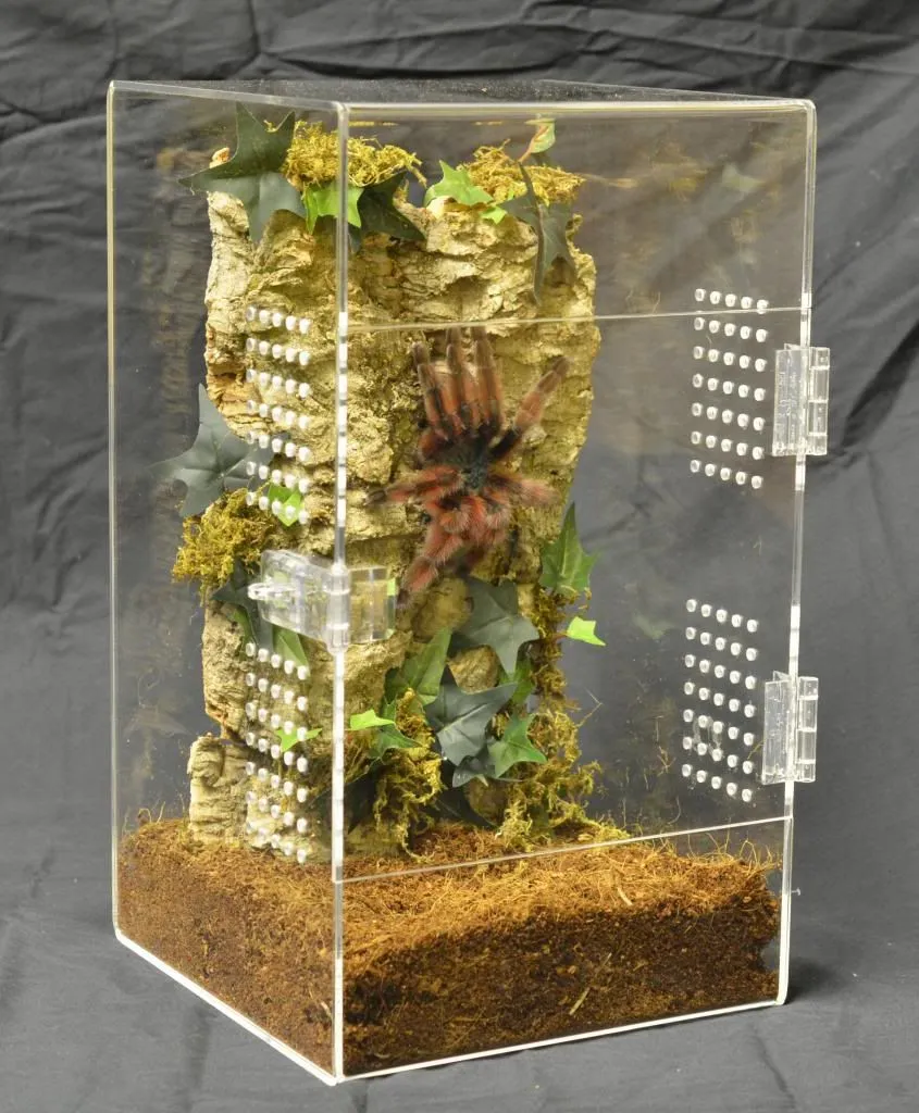 18779 acrylic tarantula enclosure canada 2