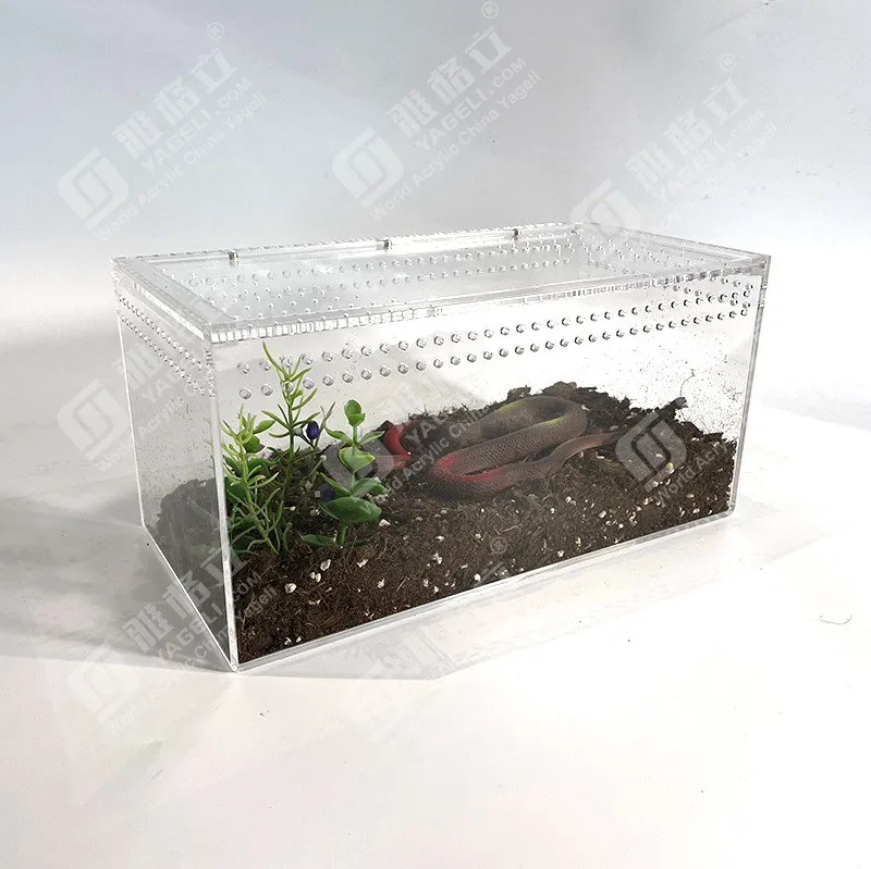 18779 acrylic tarantula enclosure canada 6