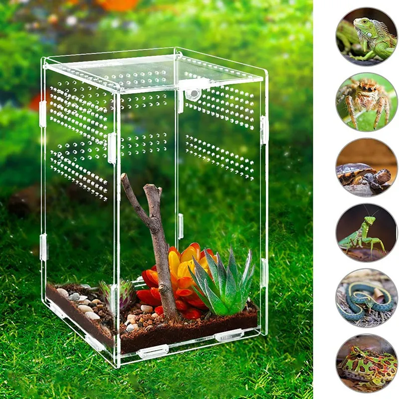 18779 acrylic tarantula enclosure canada 7