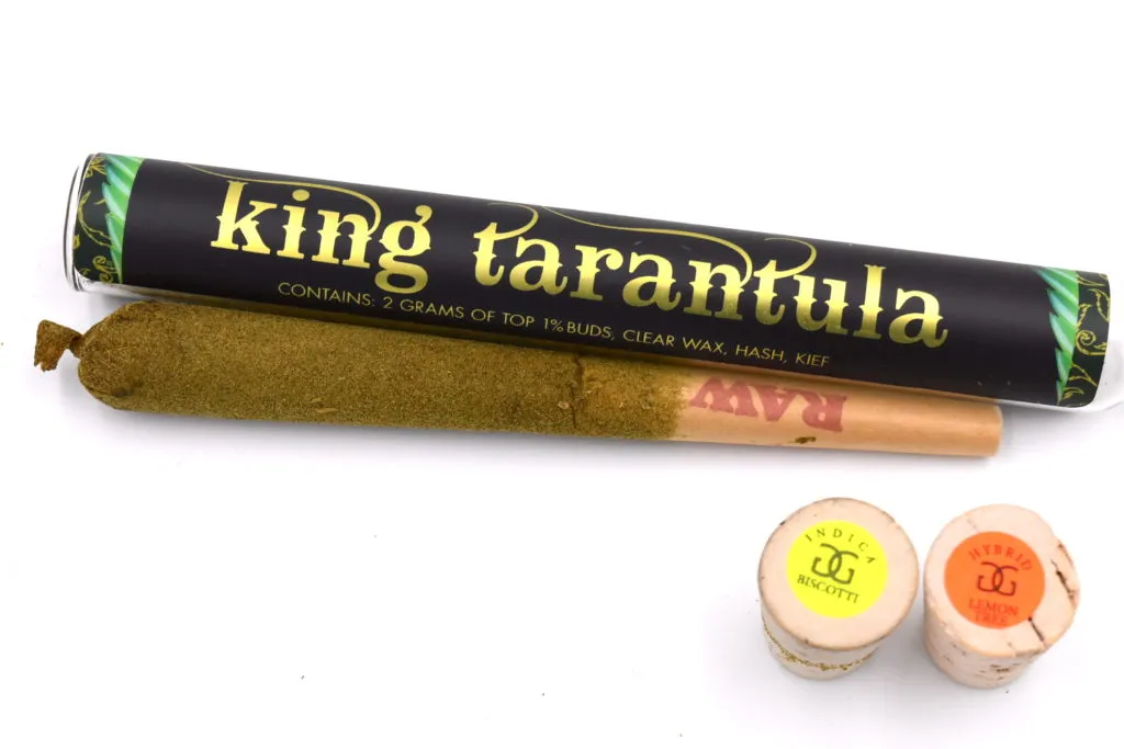 18786 king tarantula pre roll qatar 2