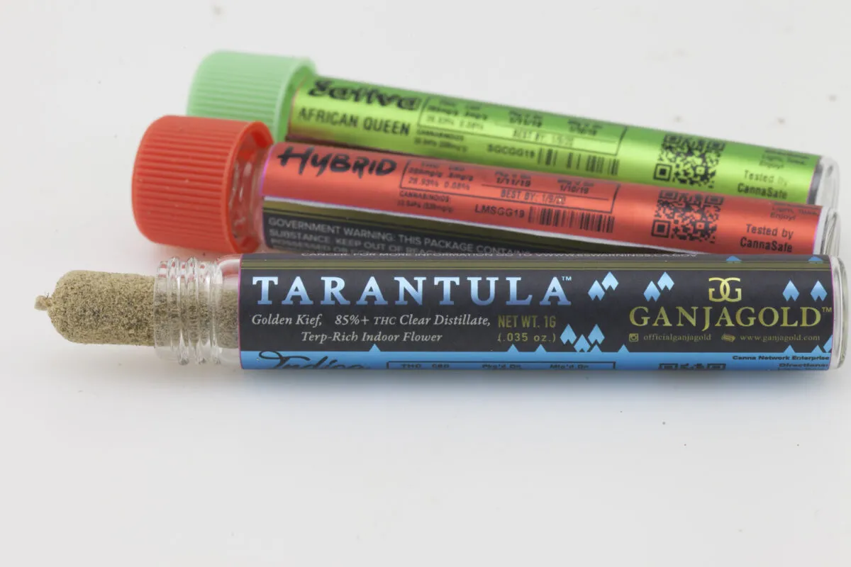 18786 king tarantula pre roll qatar 4