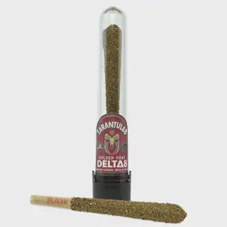 /img/18786-king-tarantula-pre-roll-qatar-7.webp