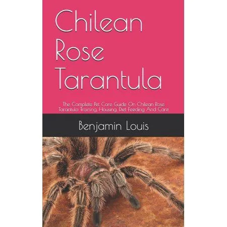 18791 chilean rose tarantula handling