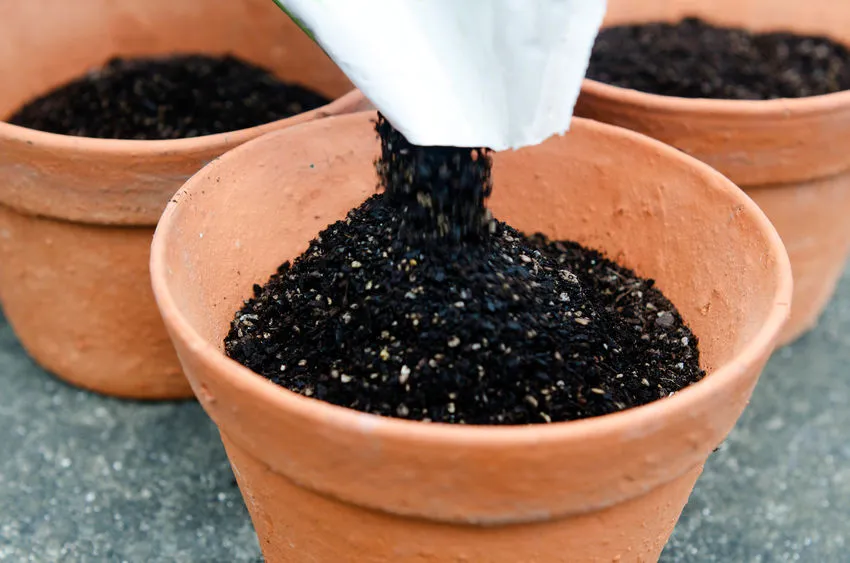 18792 organic potting soil bag