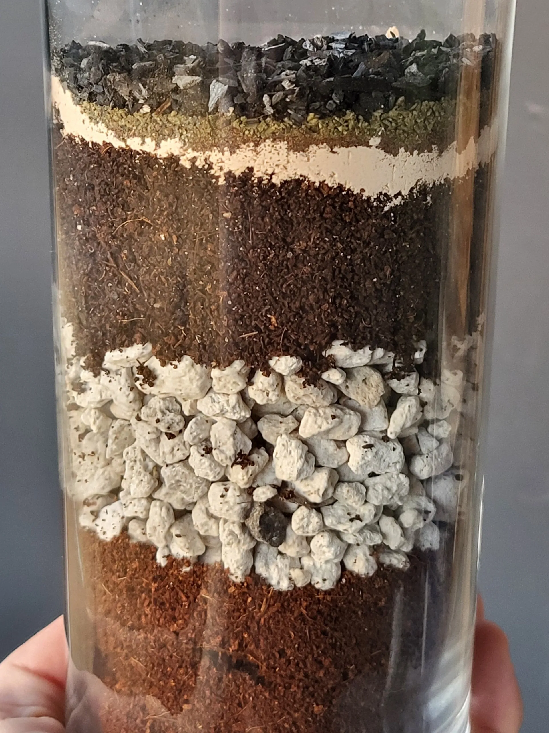 18792 tarantula molting