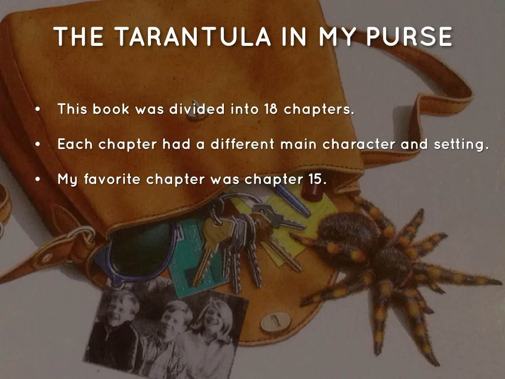 18802 tarantula identification