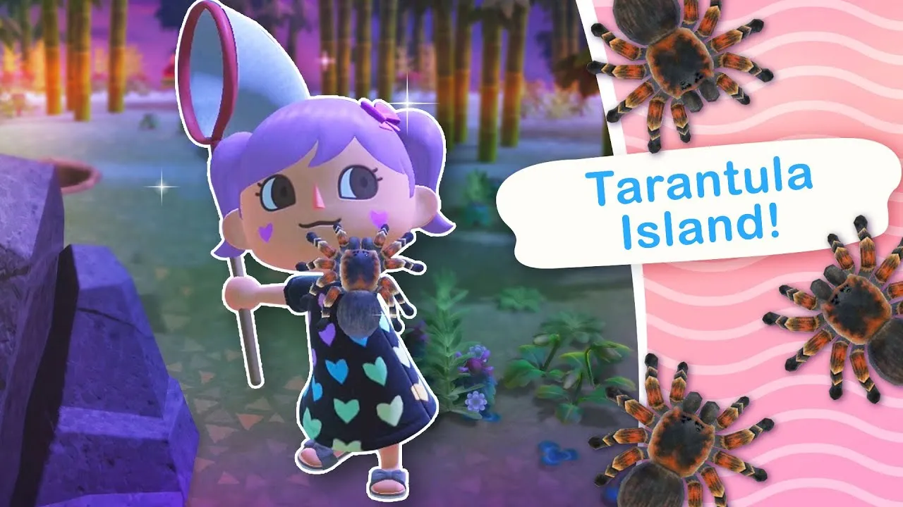 18810 tarantula island transport