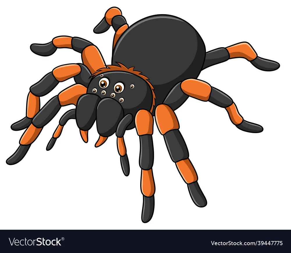 18817 cute tarantula cartoon simple style