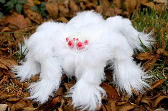 18821 albino tarantula molting