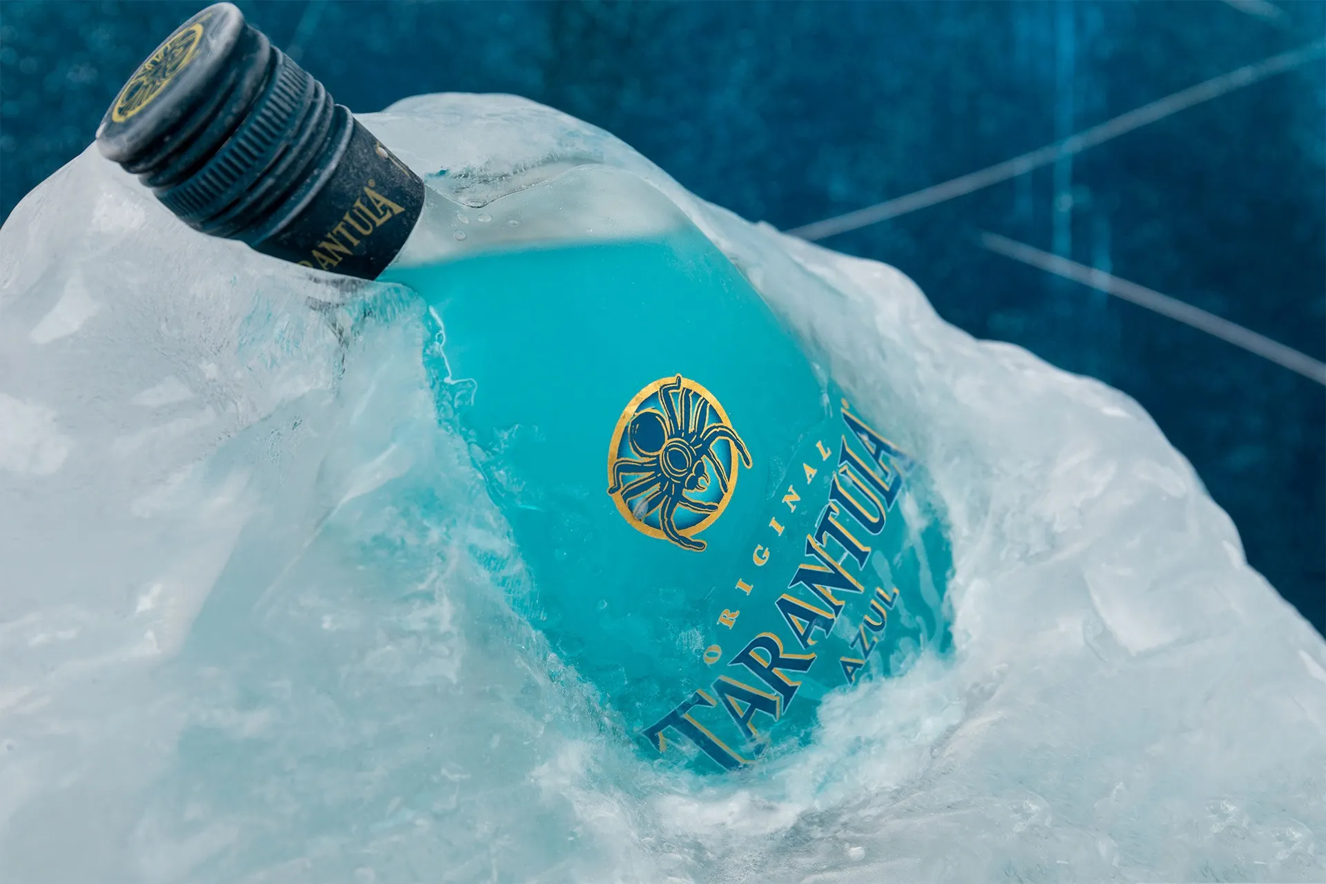 18847 tarantula tequila tasting