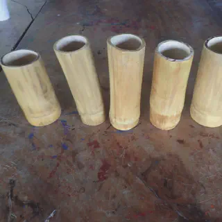 /img/18849-bamboo-cup-island-tarantula-conservation.webp