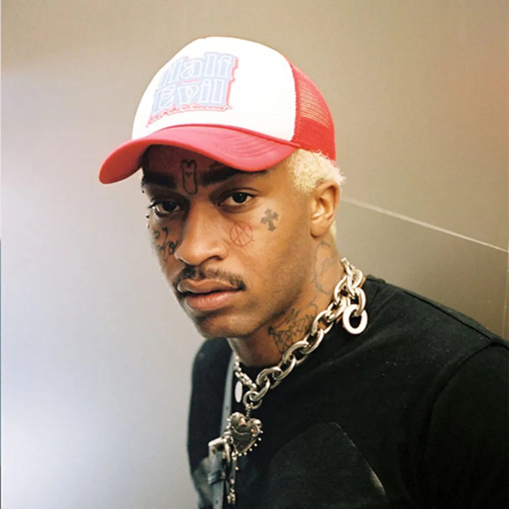 18855 lil tracy tarantula image1