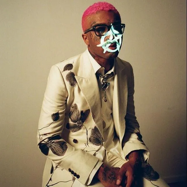 18855 lil tracy tarantula image2