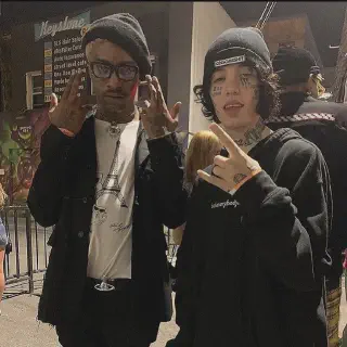 /img/18855-lil-tracy-tarantula-image7.webp