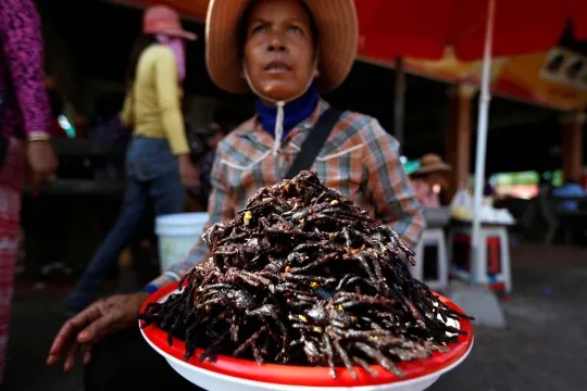 /img/18863-tarantula-goreng-nutrition.webp