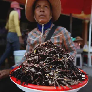 /img/18863-tarantula-goreng-nutrition.webp