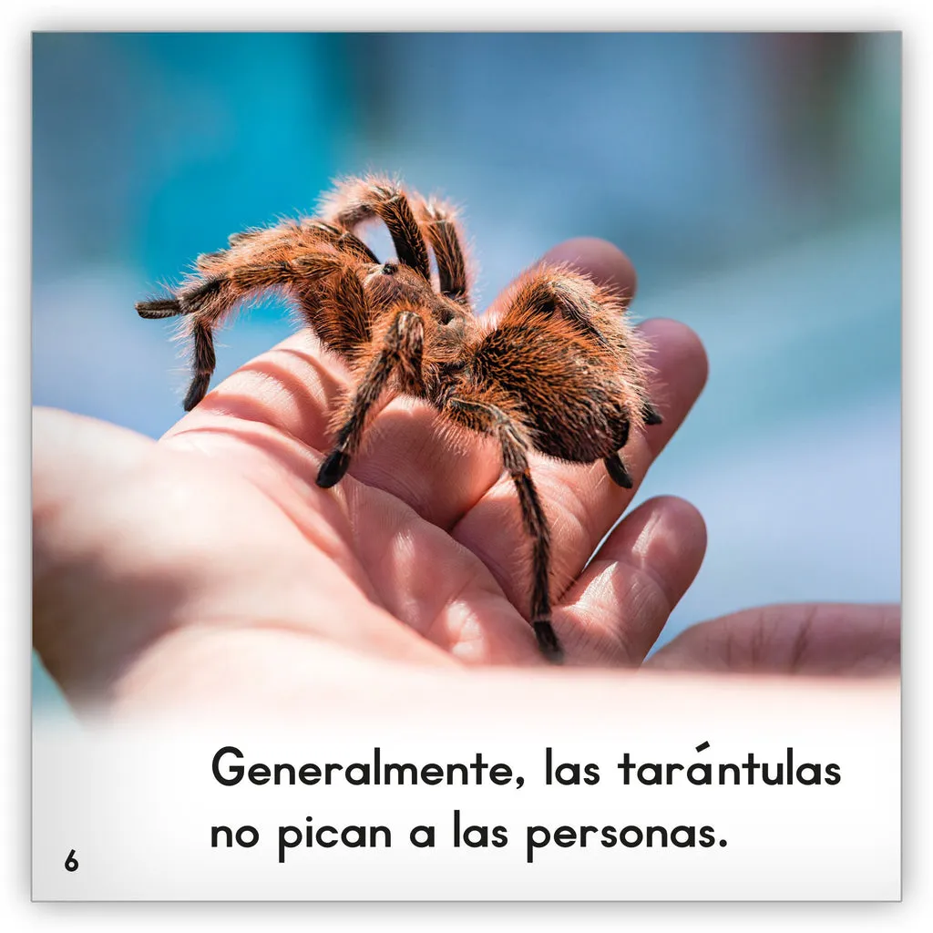 18870 tarantula en espanol caracteristicas