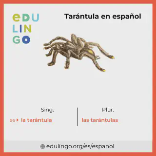 /img/18870-tarantula-en-espanol-especies.webp