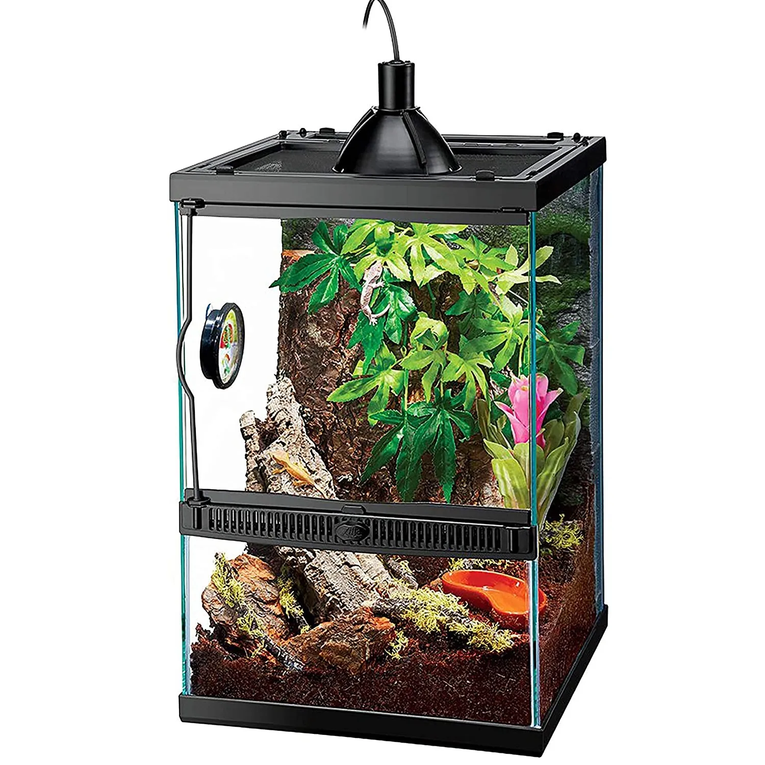 /img/18898-cleaning-ball-python-enclosure.webp