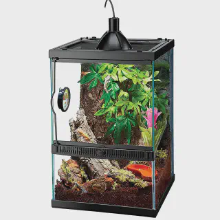 /img/18898-cleaning-ball-python-enclosure.webp