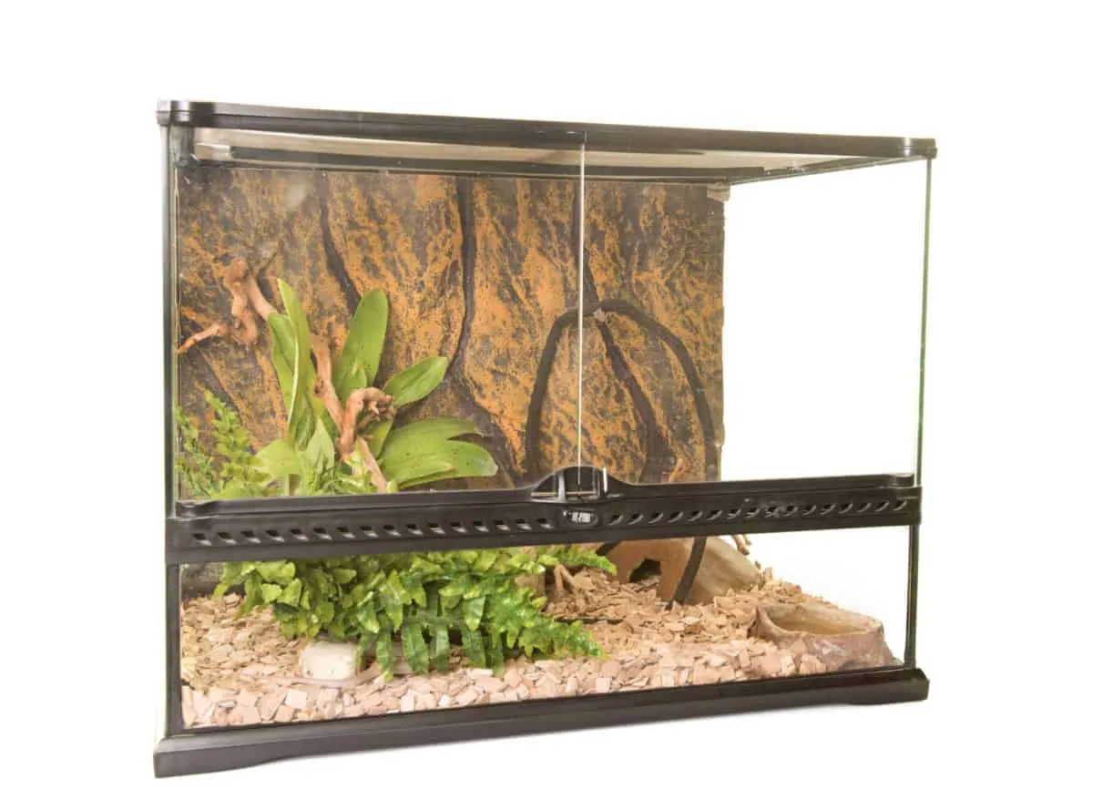 18898 glass enclosure ball python