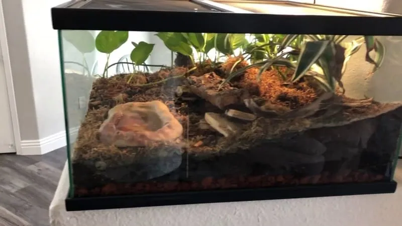 18898 substrate for ball python
