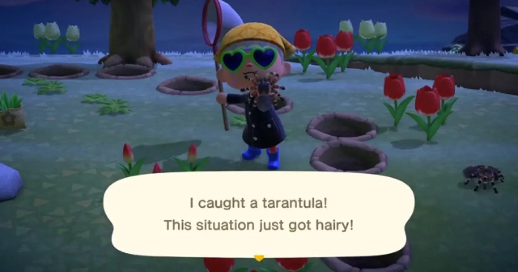 /img/18904-animal-crossing-tarantula-museum.webp