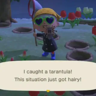 /img/18904-animal-crossing-tarantula-museum.webp