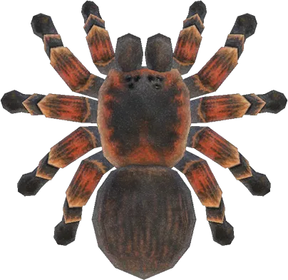 18904 animal crossing tarantula time