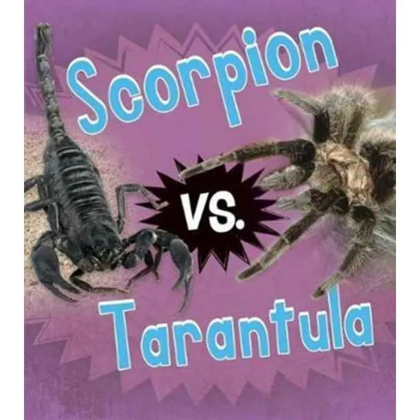 18914 scorpion size