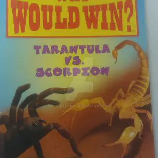 /img/18914-tarantula-hunting.webp