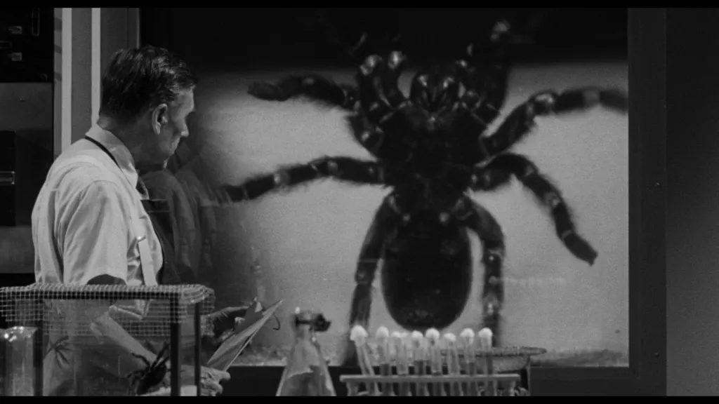 18927 tarantula audio tracks