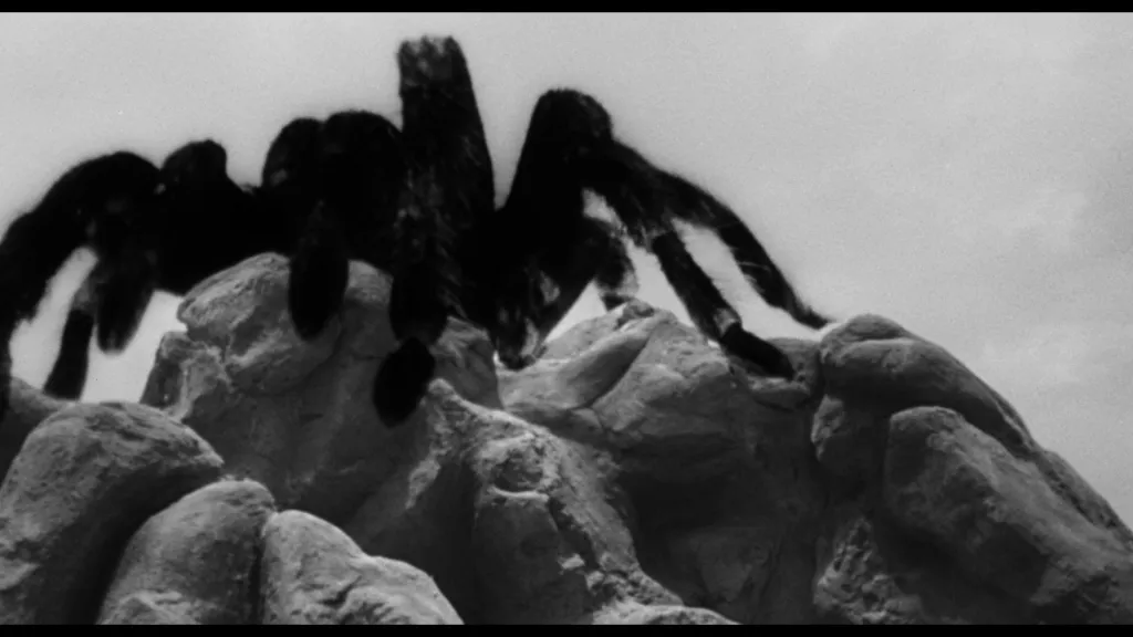 /img/18927-tarantula-home-theater.webp