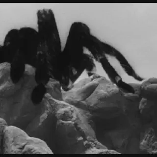 /img/18927-tarantula-home-theater.webp