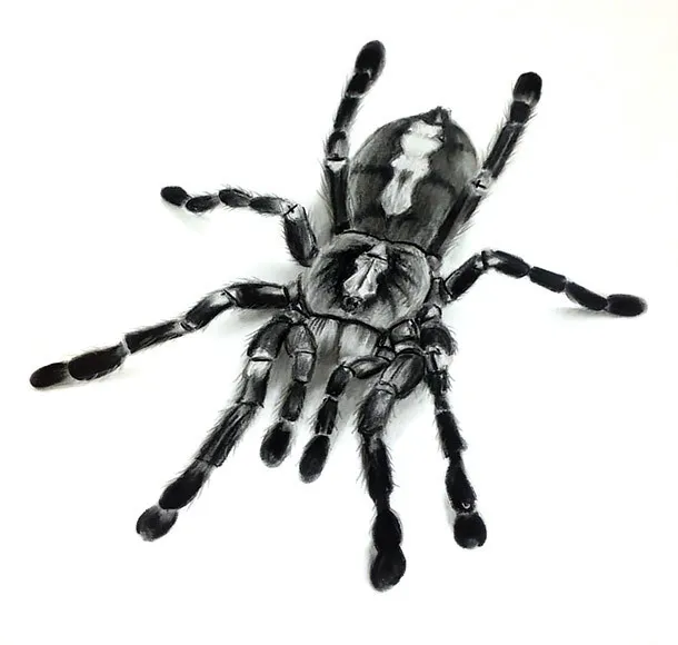 18934 3d tarantula tattoo artist