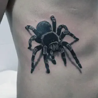 /img/18934-tarantula-tattoo-aftercare.webp