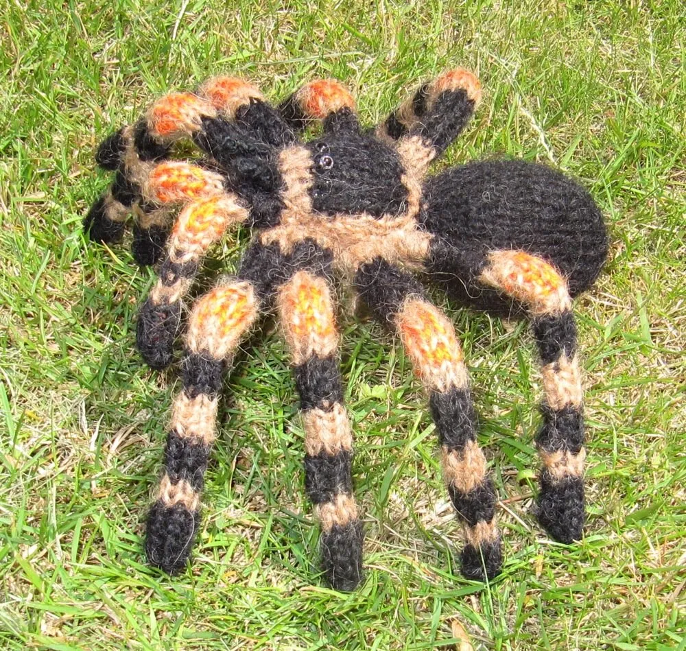 18938 tarantula health nz