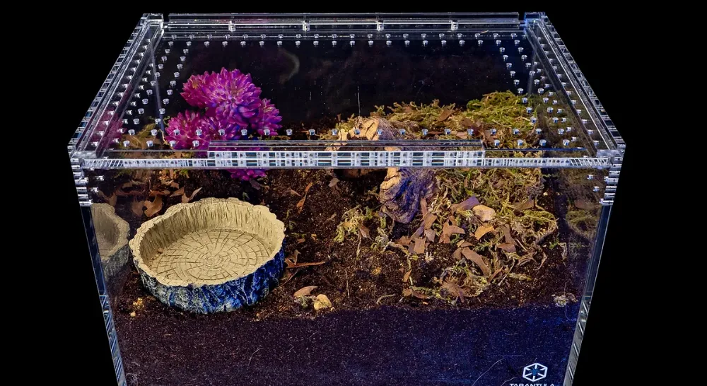 18942 tarantula cage kit overview
