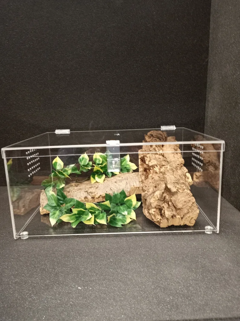 18942 tarantula watering dish