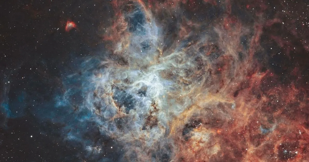 /img/18947-tarantula-nebula-studies.webp