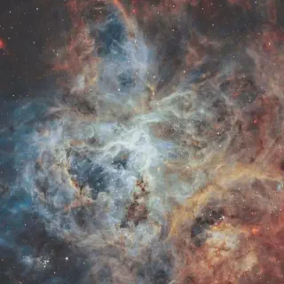 /img/18947-tarantula-nebula-studies.webp