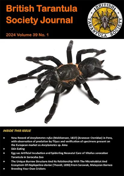 /img/18968-tarantula-care-sheet.webp