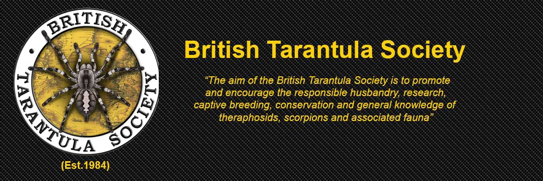 18968 tarantula forum discussion
