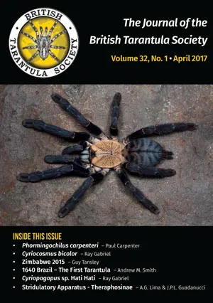 18968 tarantula species identification