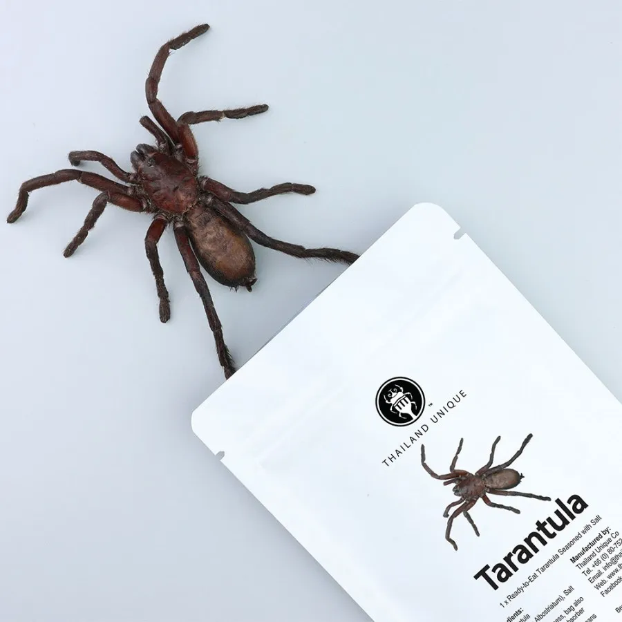 18977 roaches for tarantulas