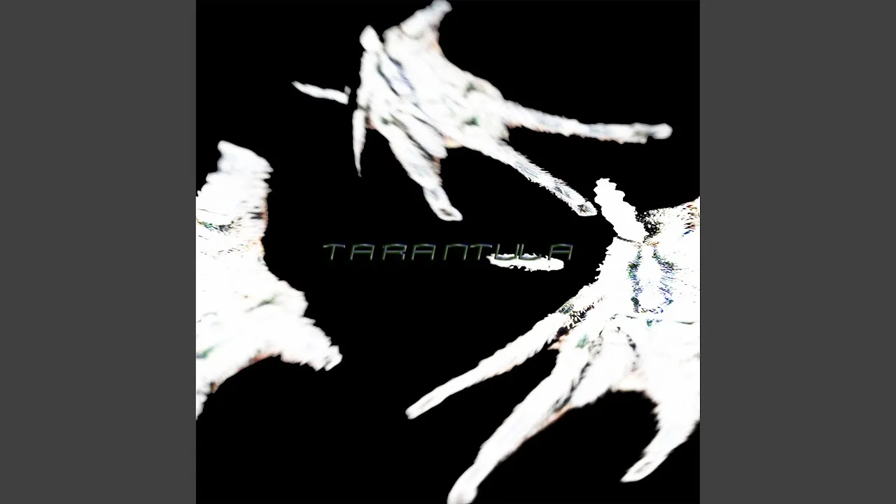 19018 tarantula migration destination