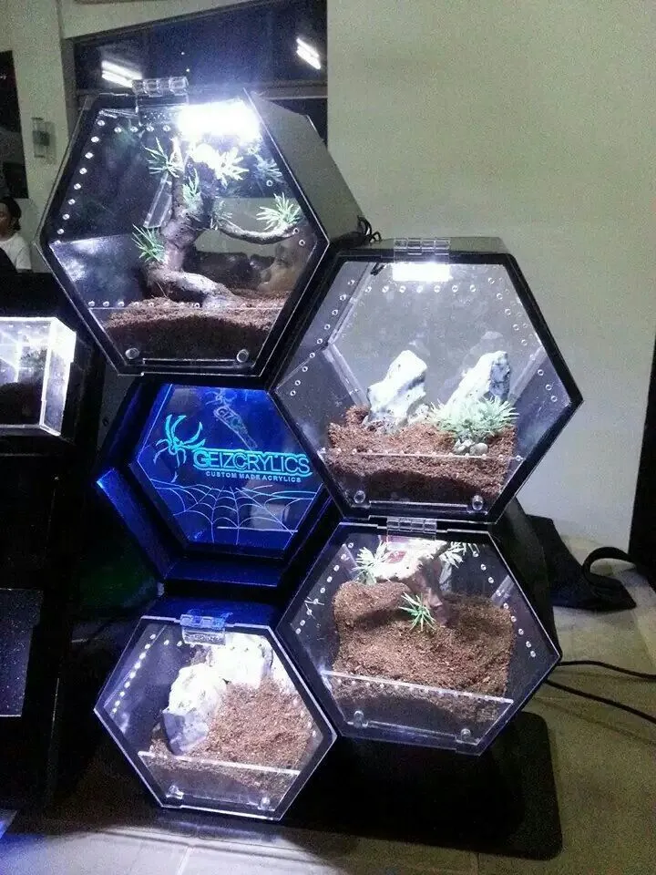 19065 tevo tarantula water dish